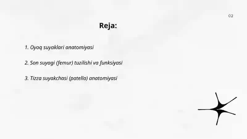 Oyoq suyaklari anatomiyasi 2