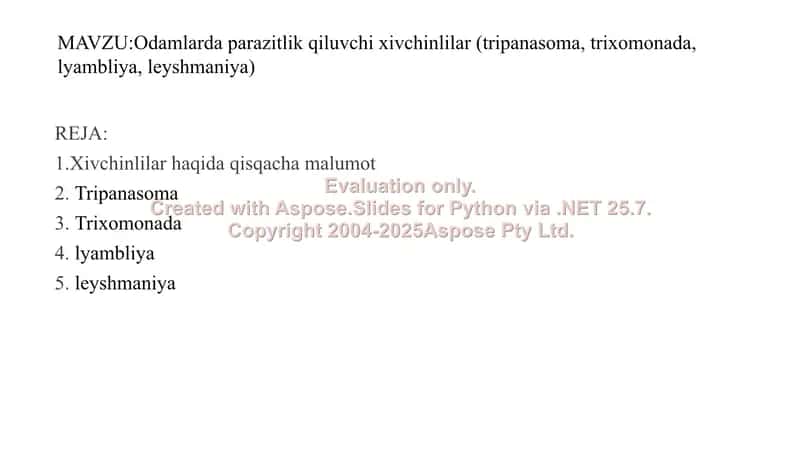 Xivchinlilar haqida qisqacha malumot 2