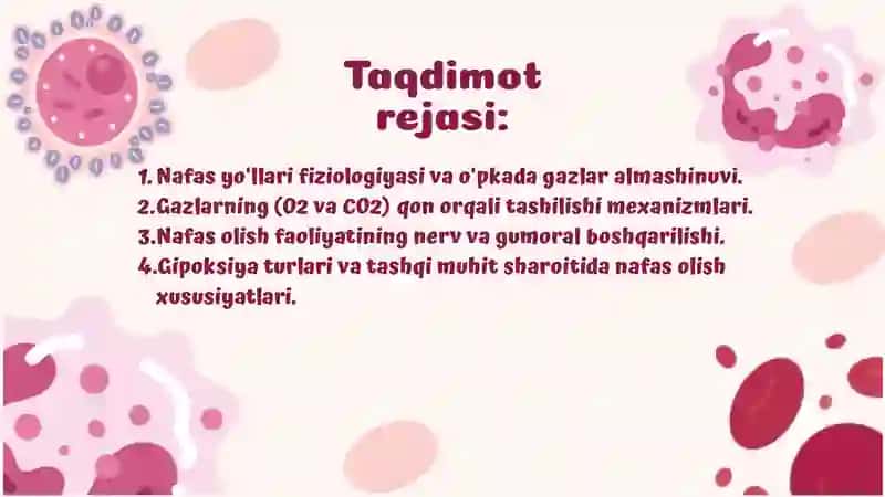 Nafas yo'llari fiziologiyasi va o'pkada gazlar almashinuvi 2