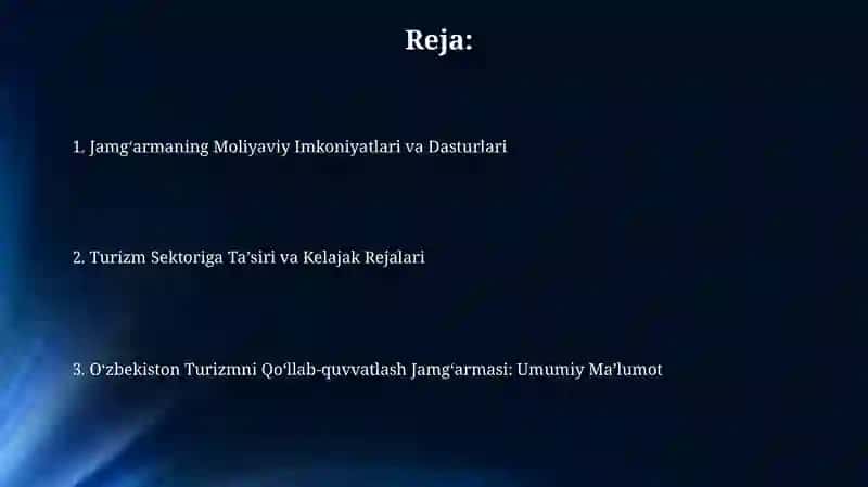 Turizmni qo`llab-quvvatlash jamg`armasi 2