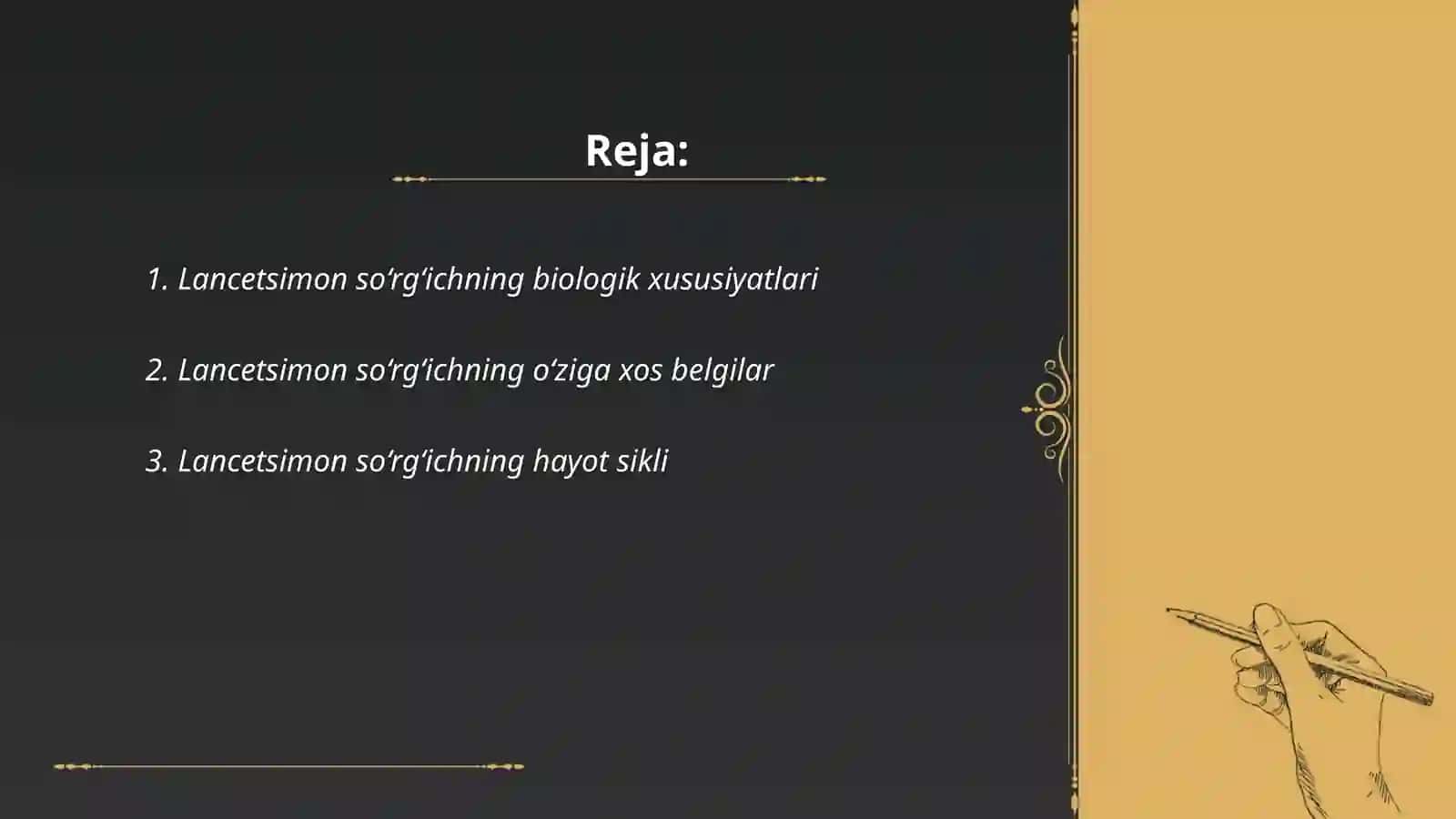 Lancetsimon so‘rg‘ichning biologik xususiyatlari 2