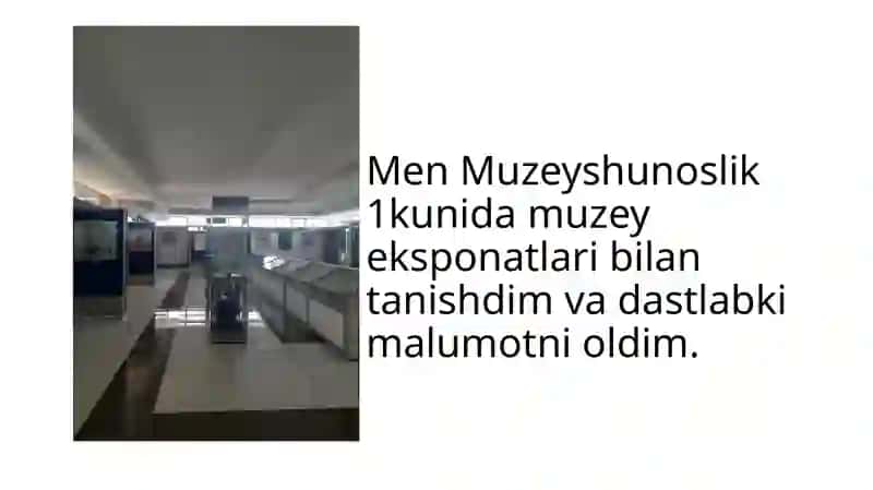 Muzeyshunoslik amalyoti 2