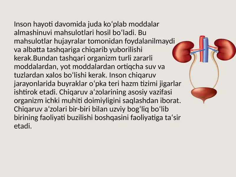 Chiqaruv jarayonlari va buyraklar fiziologiyasi 2
