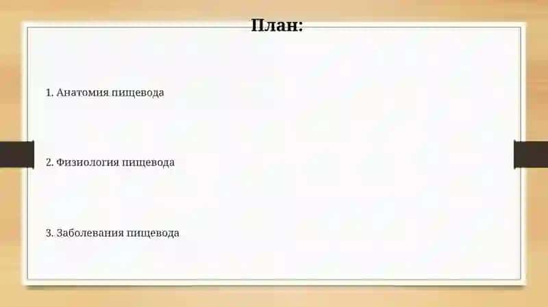 Пищевод 2