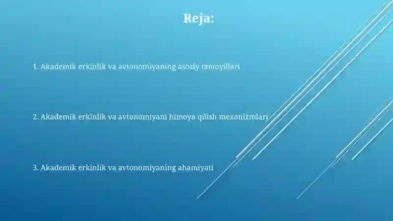 Oliy ta'limda akademik erkinlik va avtonomiya tamoyillari 2