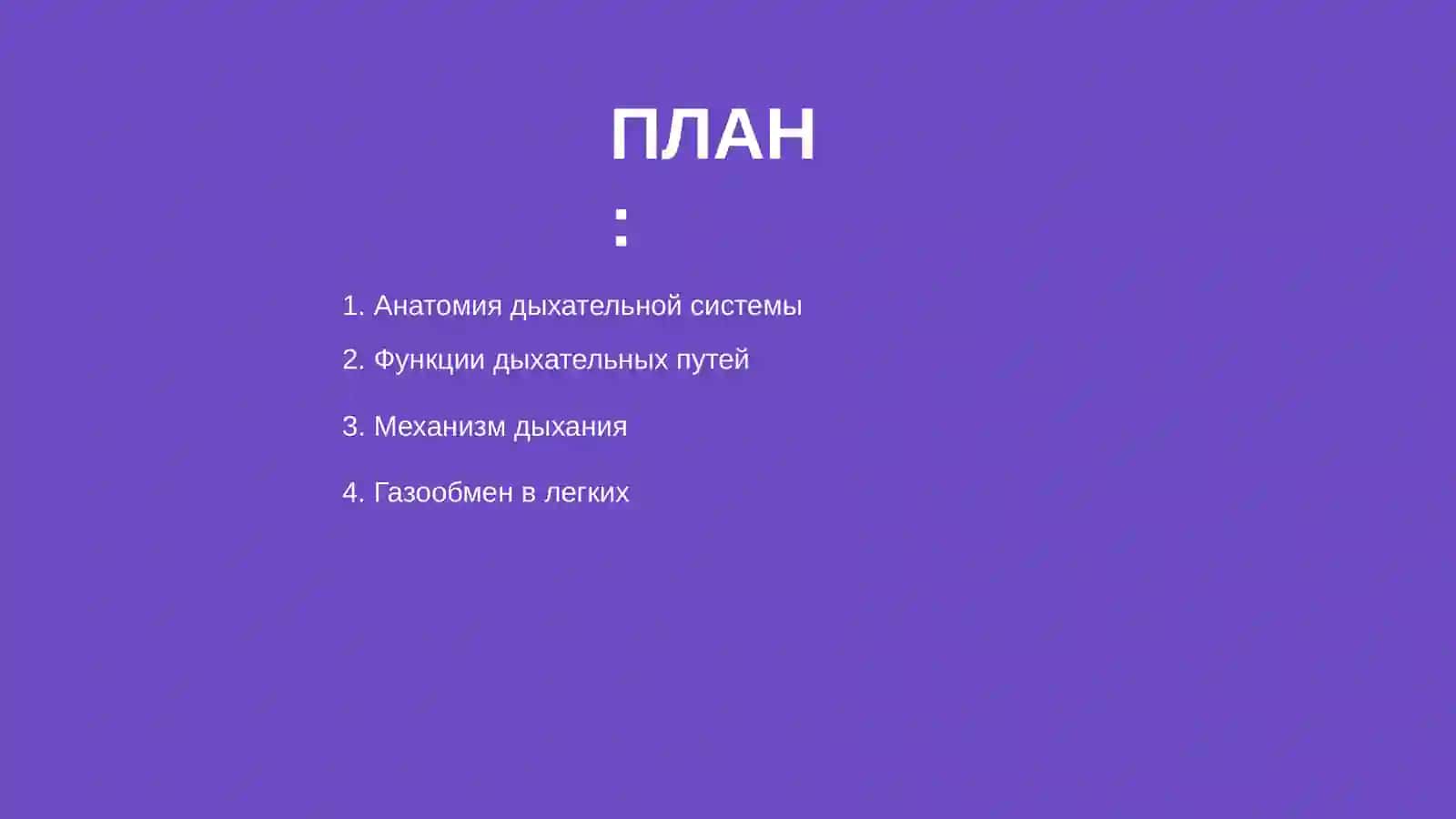 Дыхательная система 2