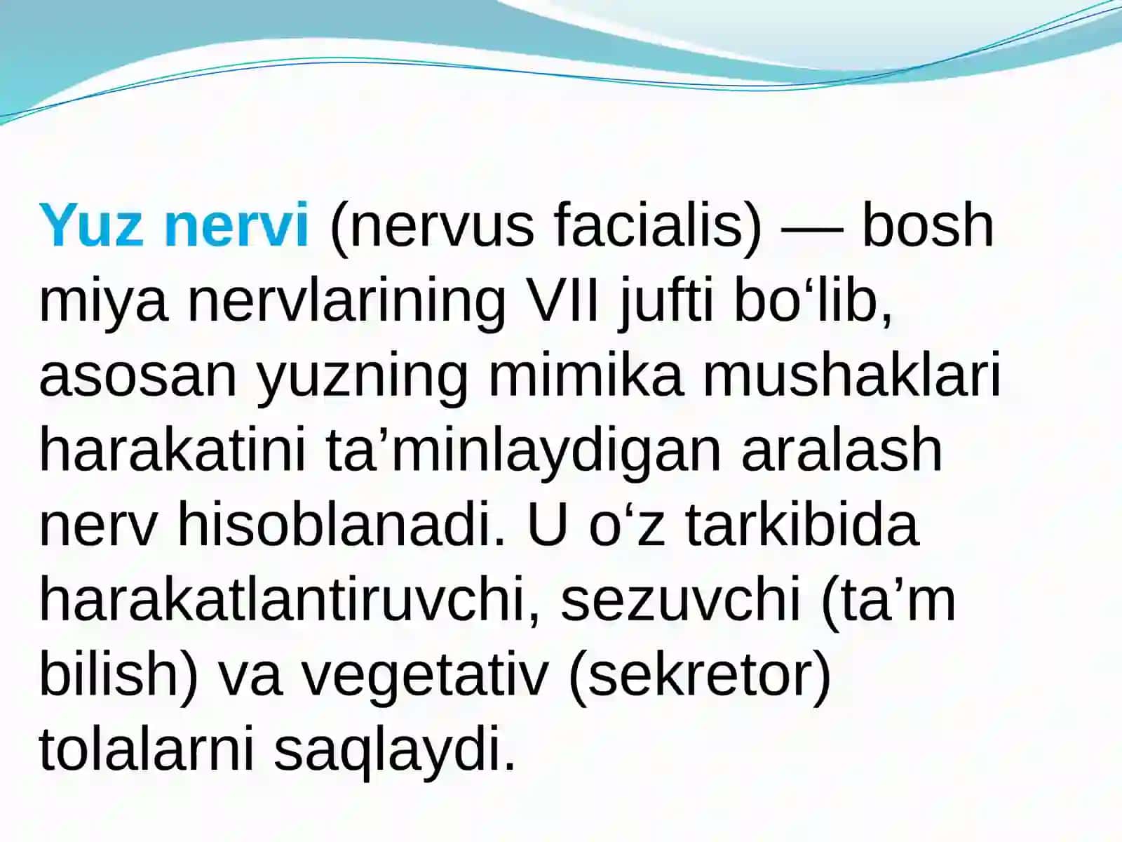 Yuz nervi anatomiyasi va kasalliklari 2