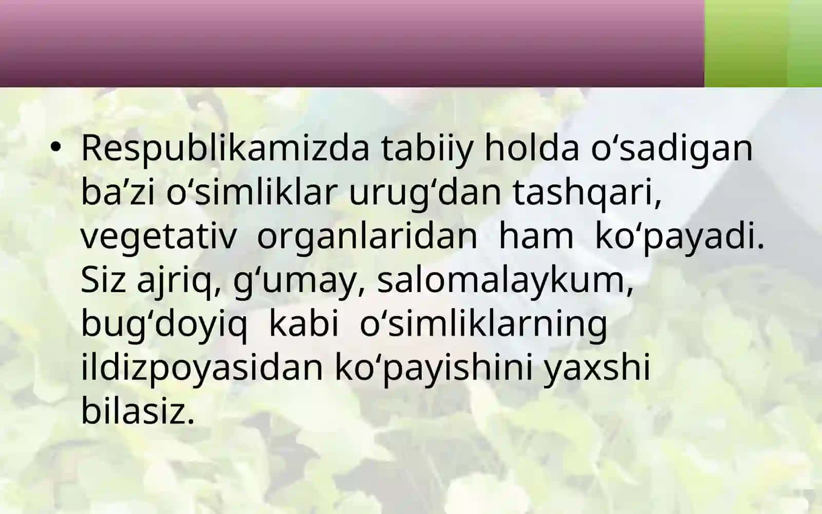 5-sinf Botanika Yovvoyi o'simliklarning vegetativ ko'payishi 2