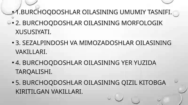 Burchoqdoshlar oilasining umumiy tasnifi 2