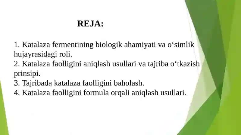 Katalaza fermenti 2