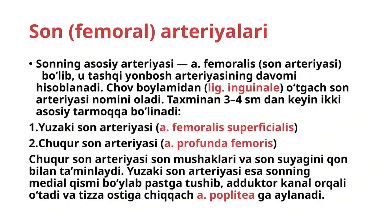 Son, tizza osti va panja arteriyalari. MSKTda anatomik  xususiyatlari 2