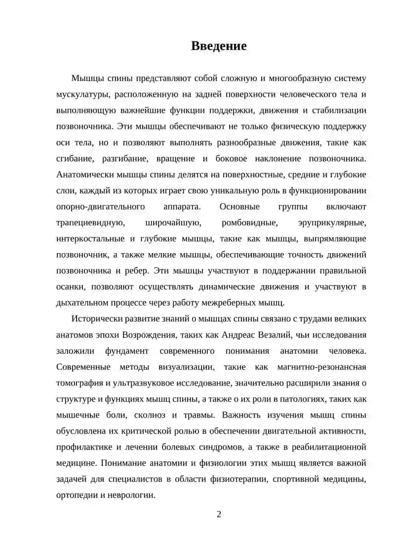 Мышцы спины 2