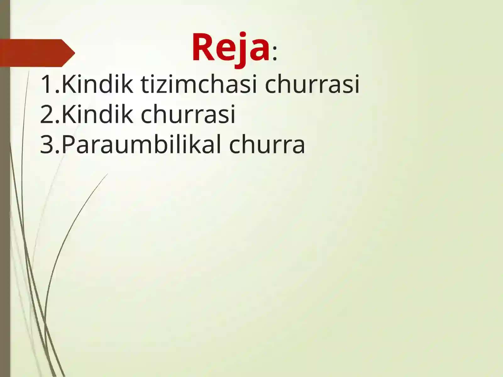 Kindik churrasi 2