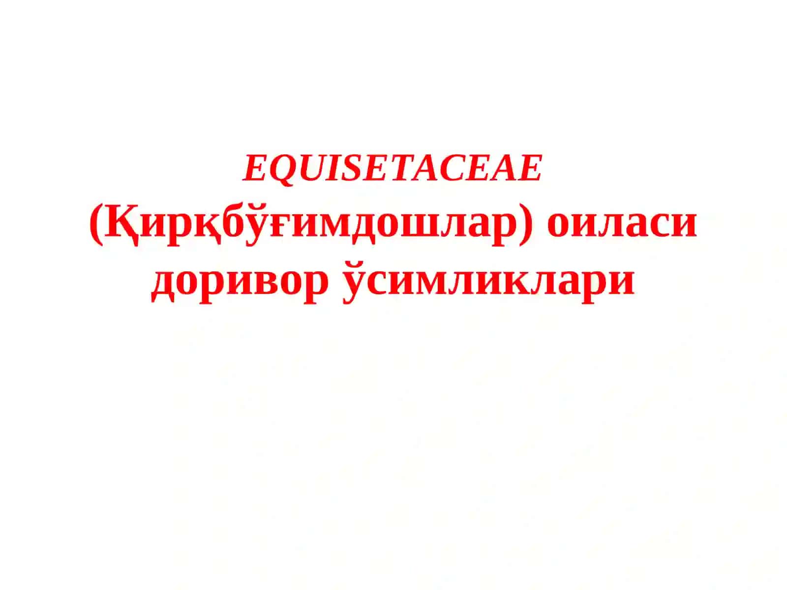 EQUISETACEAE(Қирқбўғимдошлар) оиласи 2