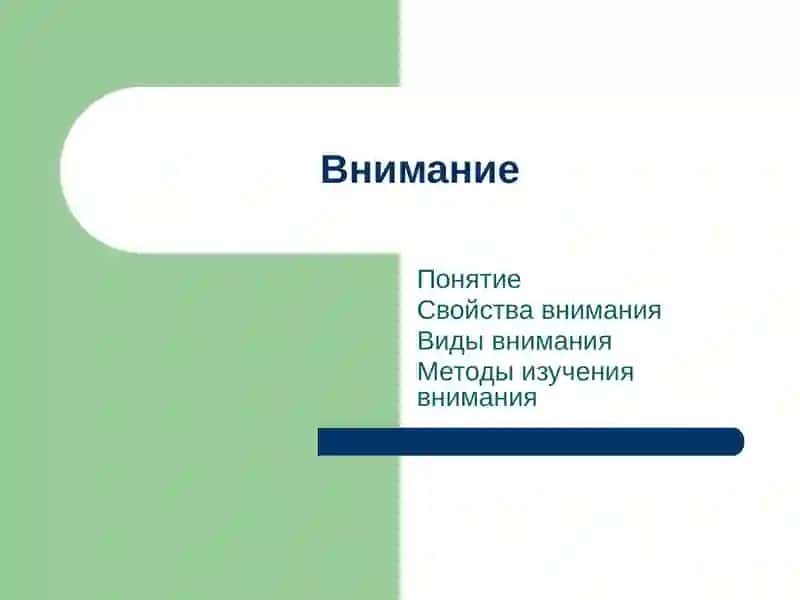 Самостоятельная работа по физиологии 2