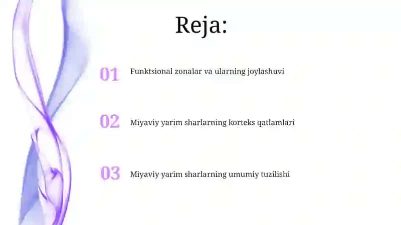 Bosh miya katta yarmsharlari poʻslogʻining tuzilishi 2