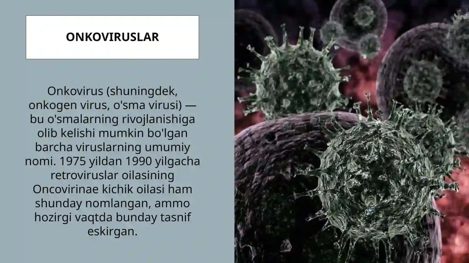 ONKOVIRUSLAR,ULARNIG TARQALISH YO’LLARI, O’SMA HOSIL QILUVCHI TA’SIRI. KANSEROGENEZ, UNDA HUJAYRA ONKOGENLARINING AHAMIYATI 2