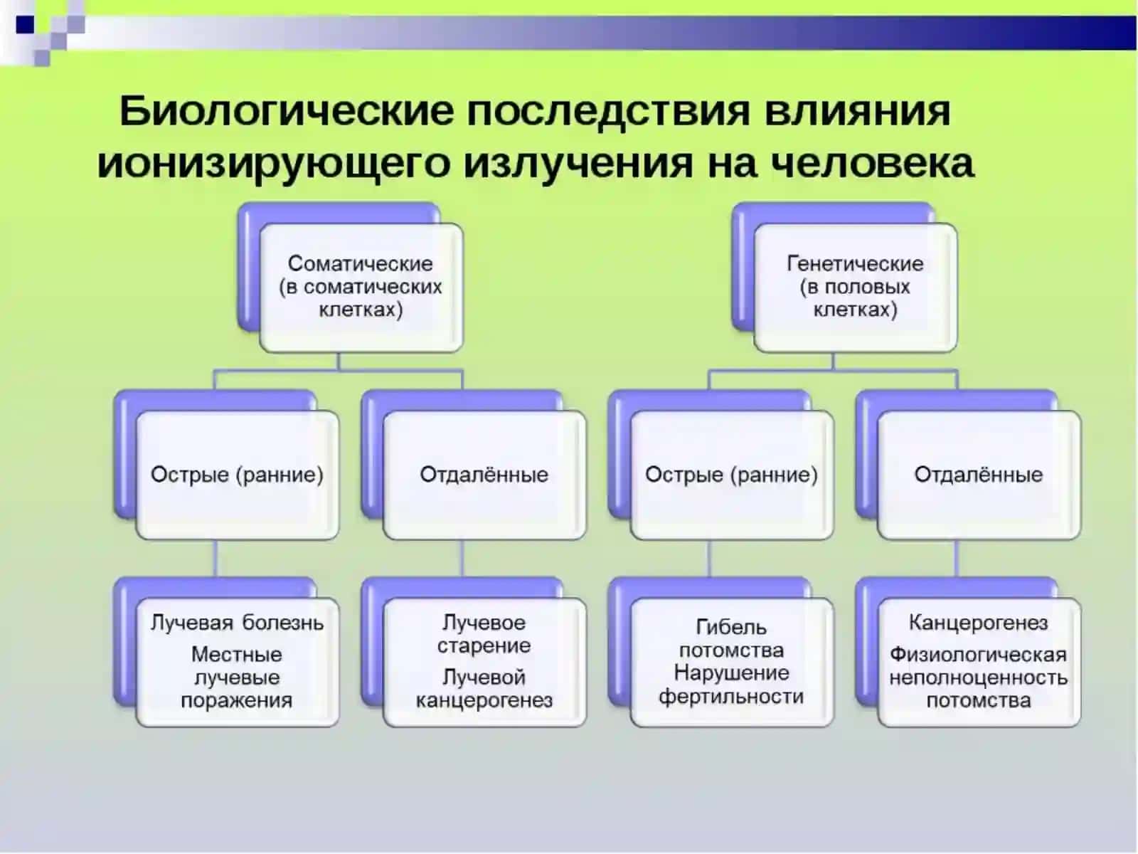 IONLASHTIRGAN RADIATSIYANING BIOLOGIK TA'SIRLARI 2