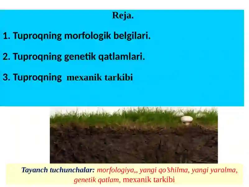 Tuproqning morfologik belgilari va tuzilishi 2