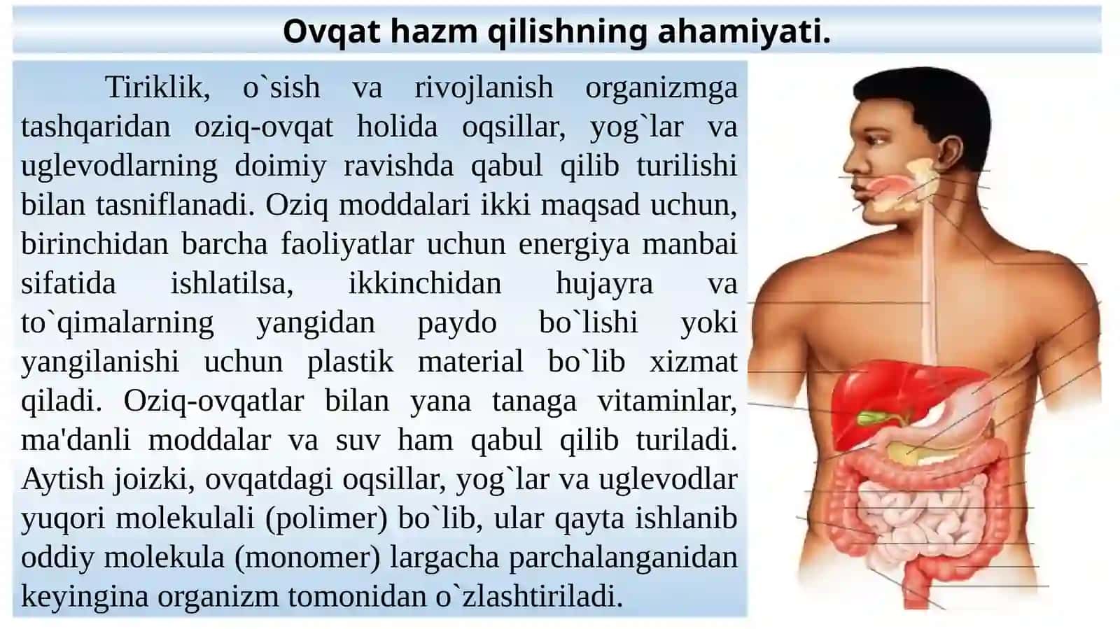 Ovqat hazm qilish tizimi fiziologiyasi 2