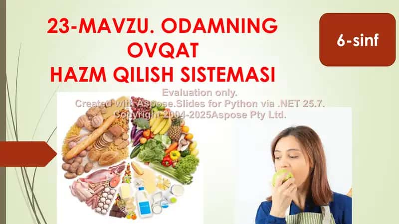Odamning Ovqat Hazm Qilish Sistemasi 2