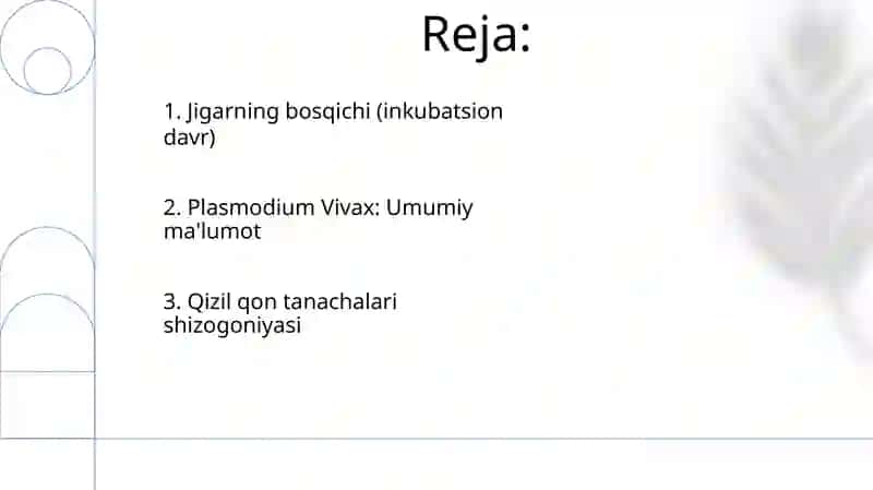 Plasmodium Vivax 2