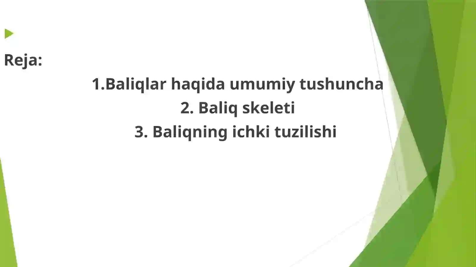 Zogʻorabaliqnings keleti va ichki tuzilishi 2