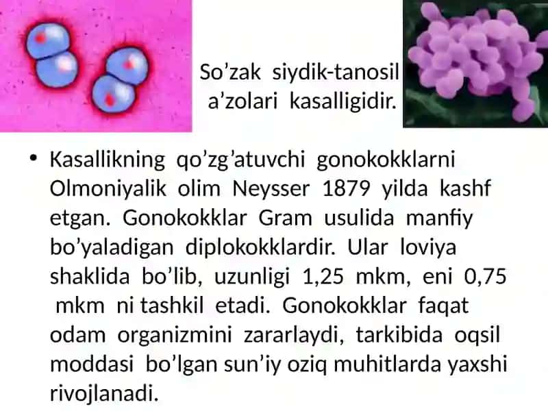 NOSPETSIFIK YARALIK OLIT 2