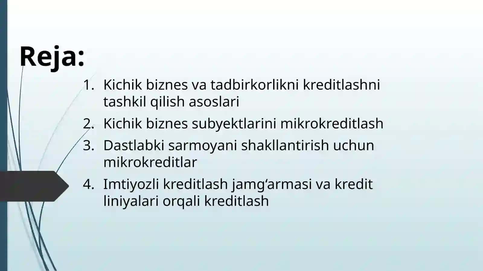 Kichik biznes va tadbirkorlikni kreditlash tartibi 2