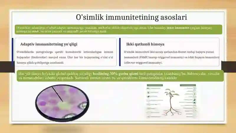 O’simliklarda hosil bo’ladigan immun tizimi: fiziologiyasi va ta’siri 2