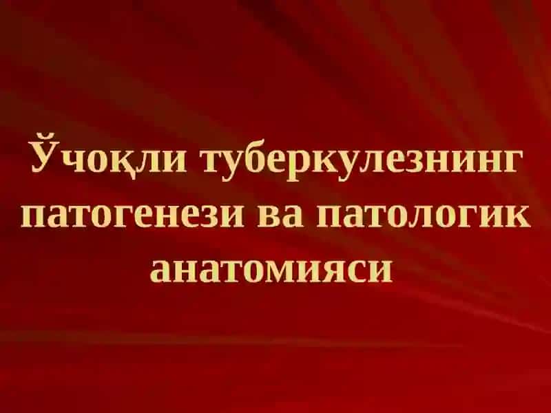 Ўпканинг ўчоқли, яллиғланган туберкулези ва ўпка туберкулемаси 2