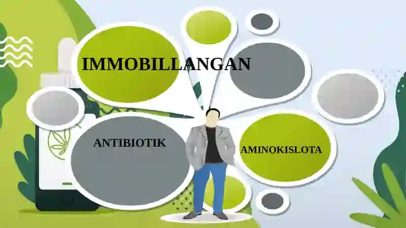 IMMOBILLANGAN 2