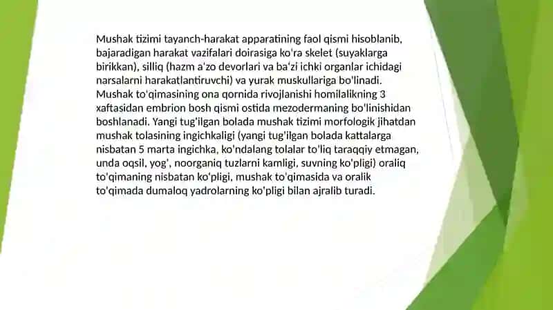 Bolalardagi suyak va mushaktilar anatomiyasi va fiziologiyasi 2