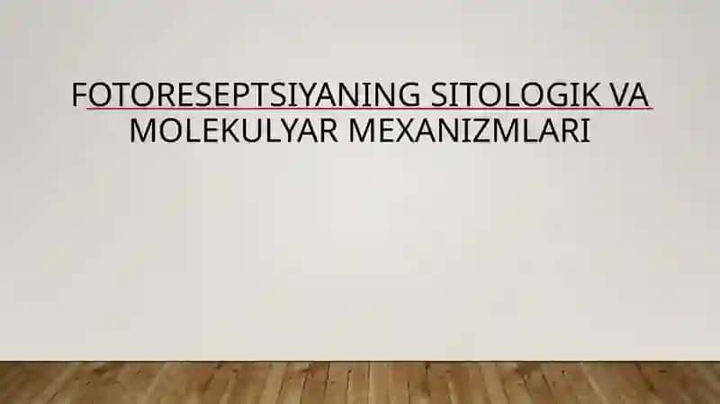 Fotoreseptsiyaning sitologik va molekulyar mexanizmlari 2