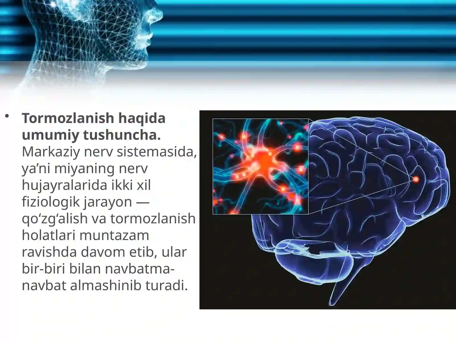 Markaziy nerv sistemasining tormozlanishi 2