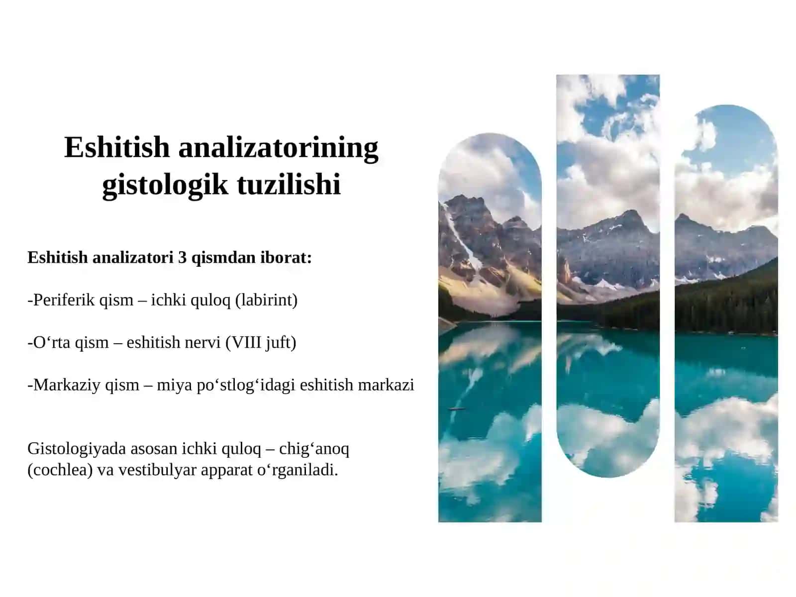Eshitishning sitologik mexanizmlari 2