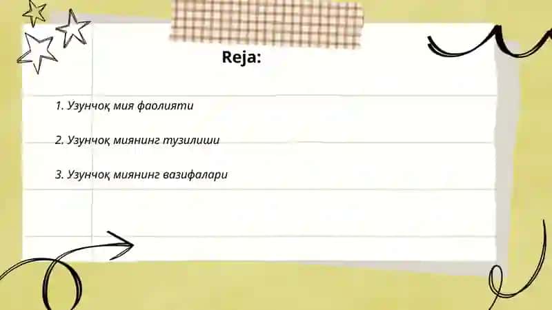 Узунчоқ мия 2