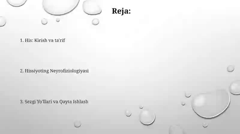 Sezgilar haqida umumiy tushuncha va uning nerv-fiziologik asoslari 2