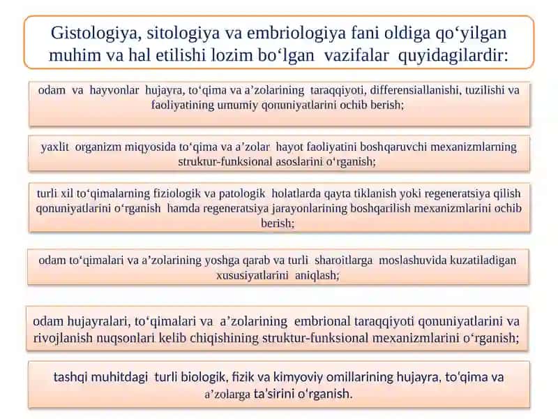 GISTOLOGIYA VA EMBRIOLOGIYANING TEKSHIRISH USULLARI 2