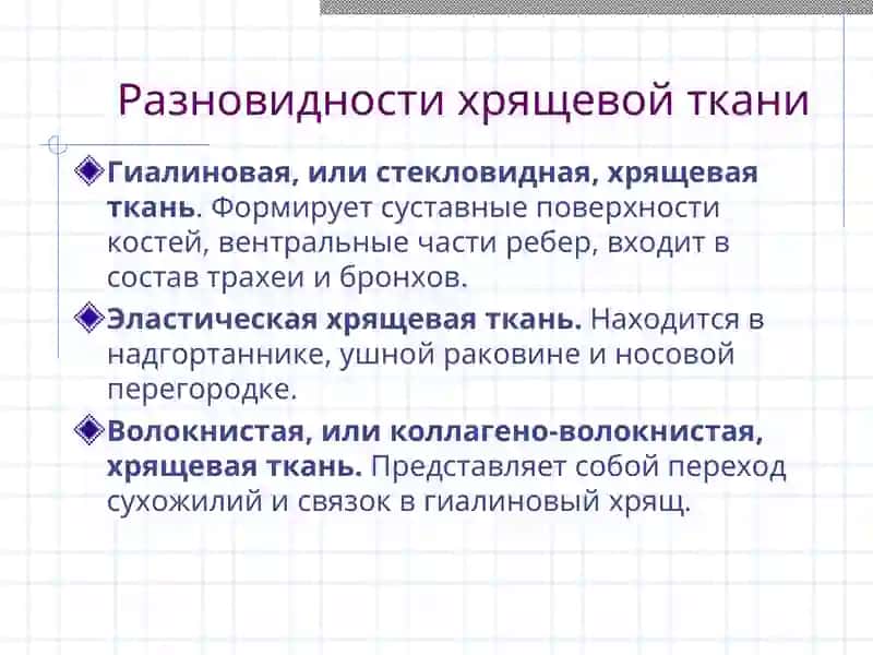 Хрящевая и костная ткани 2