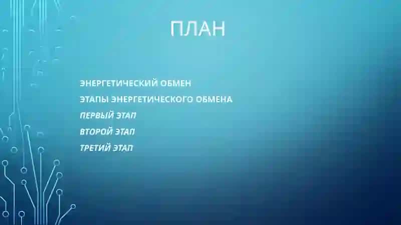 Энергетический обмен 2