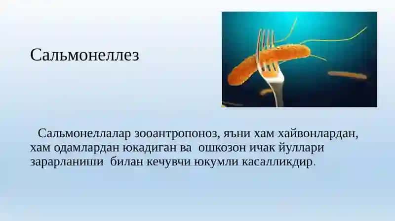 Сальмонеллёз 2