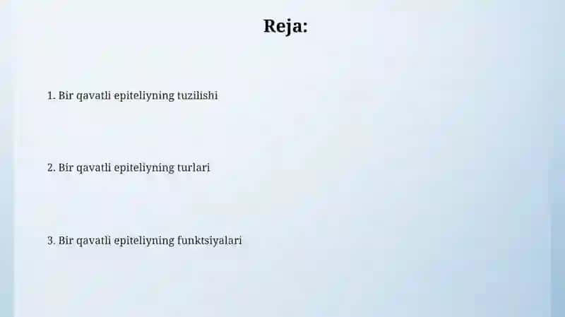 Bir qavatli epiteliy 2