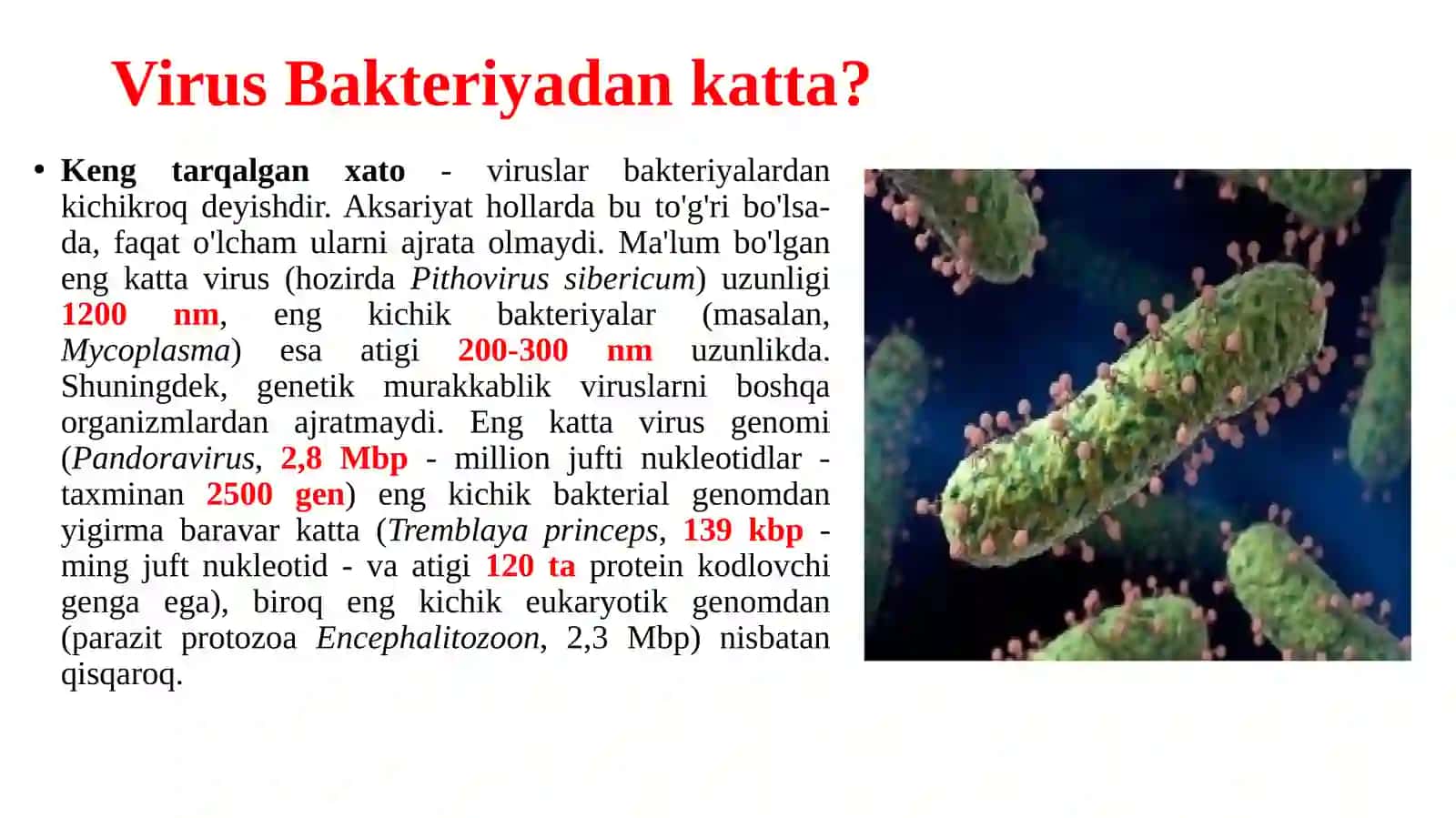 Mikrobiologiya va Biotexnologiya fanida Virusologiya 2