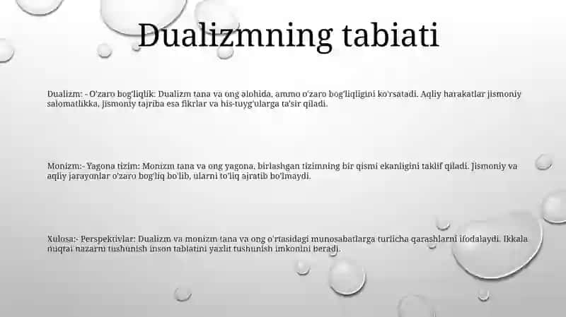 Insonni Tushunishga Dualizm Va Monizm Nuqtai Nazaridan Yondashuv 2
