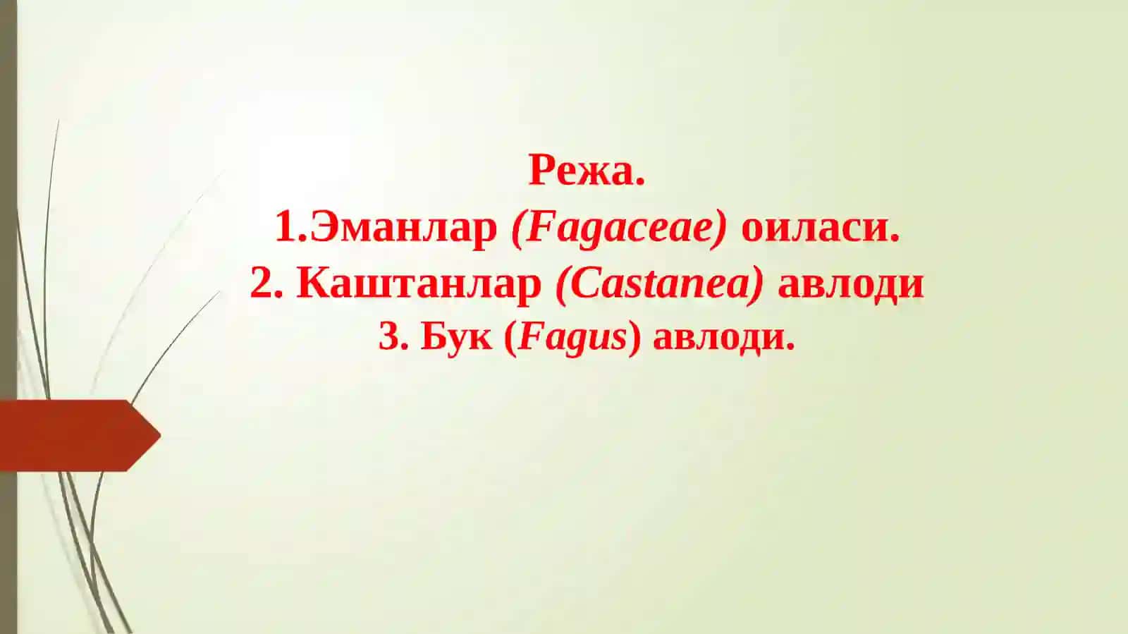 Fagaceae(Қорақайиндошлар) оиласи доривор ўсимликлари 2