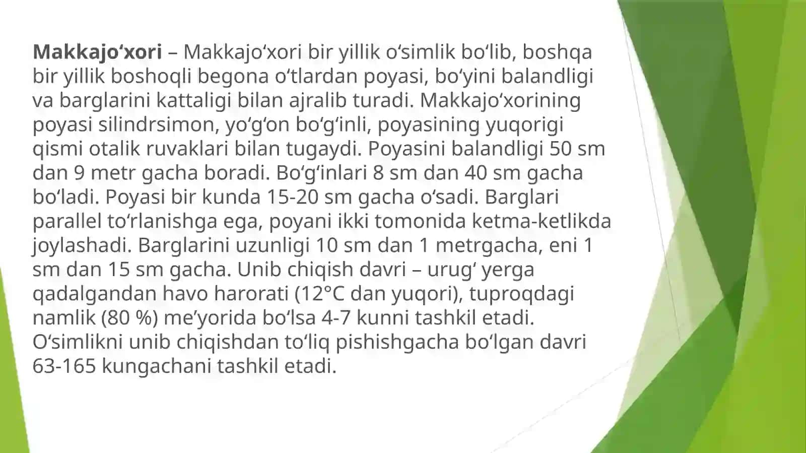 Makkajo’xori–sug’oriladigansharoitdadonuchunyetishtirish 2