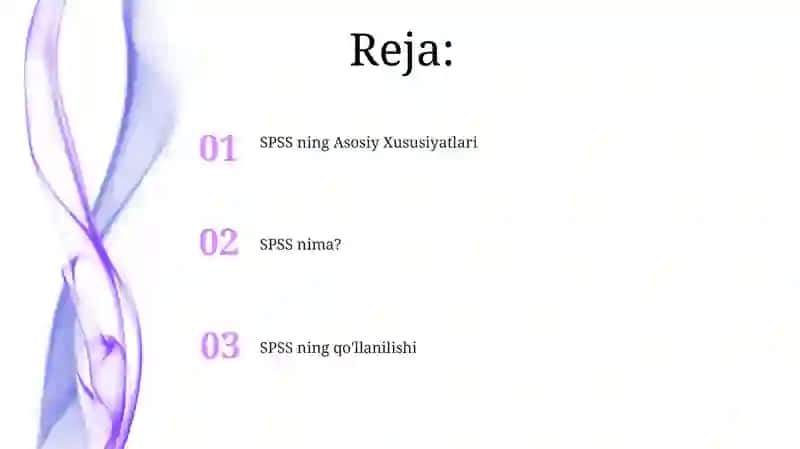 SPSS dasturi 2