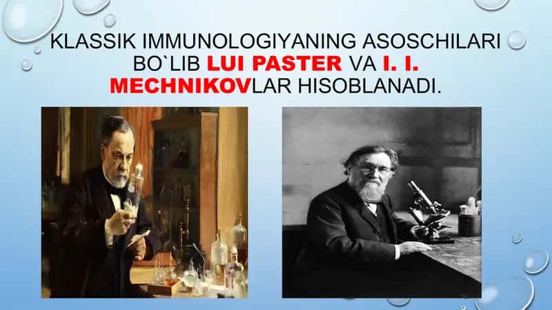 IMMUN JARAYONLARNI MORFOLOGIK ASOSLARI 2