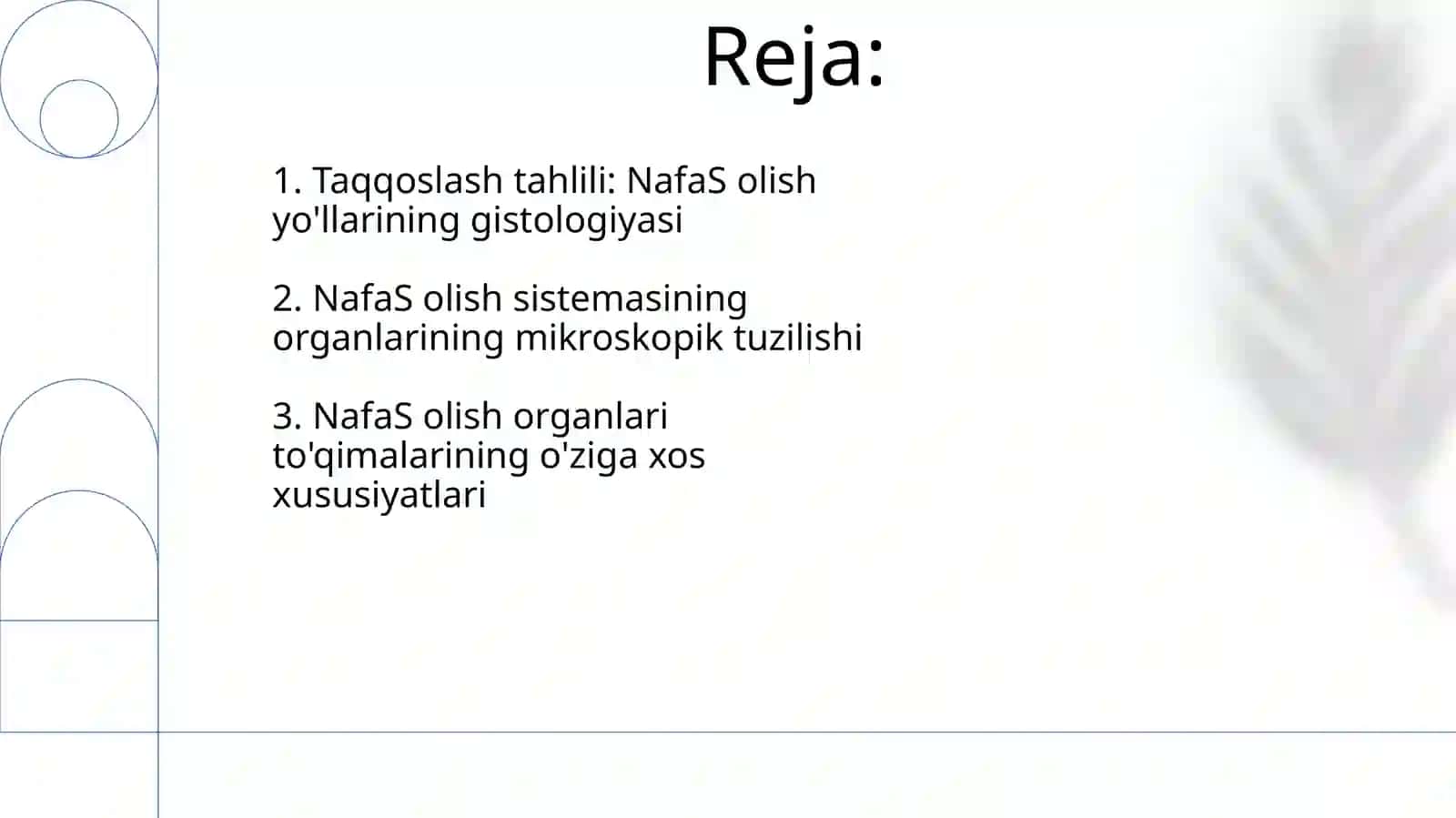 Nafas olish tizimi a'zolarining qiyosiy gistalogik tavsifi 2